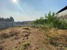 Vista 6