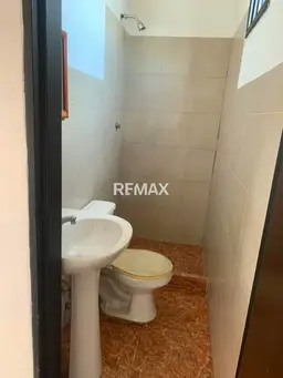 Vista 4