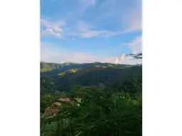 Vista 32