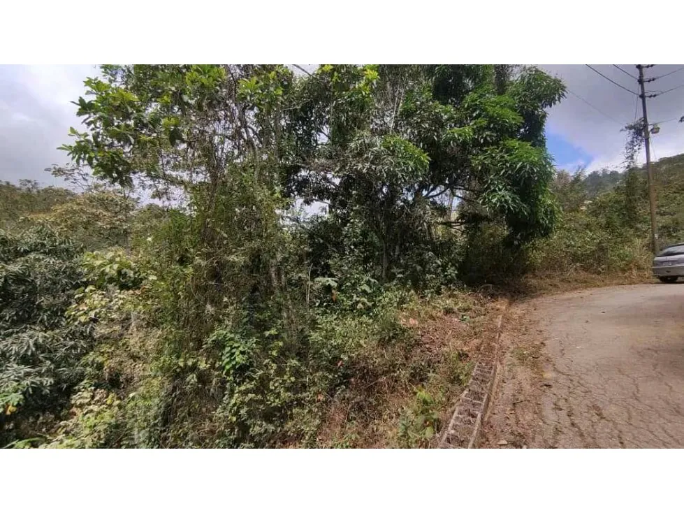 EL HATILLO LOS ROBLES TERRENO EN VENTA 439M2 - 3