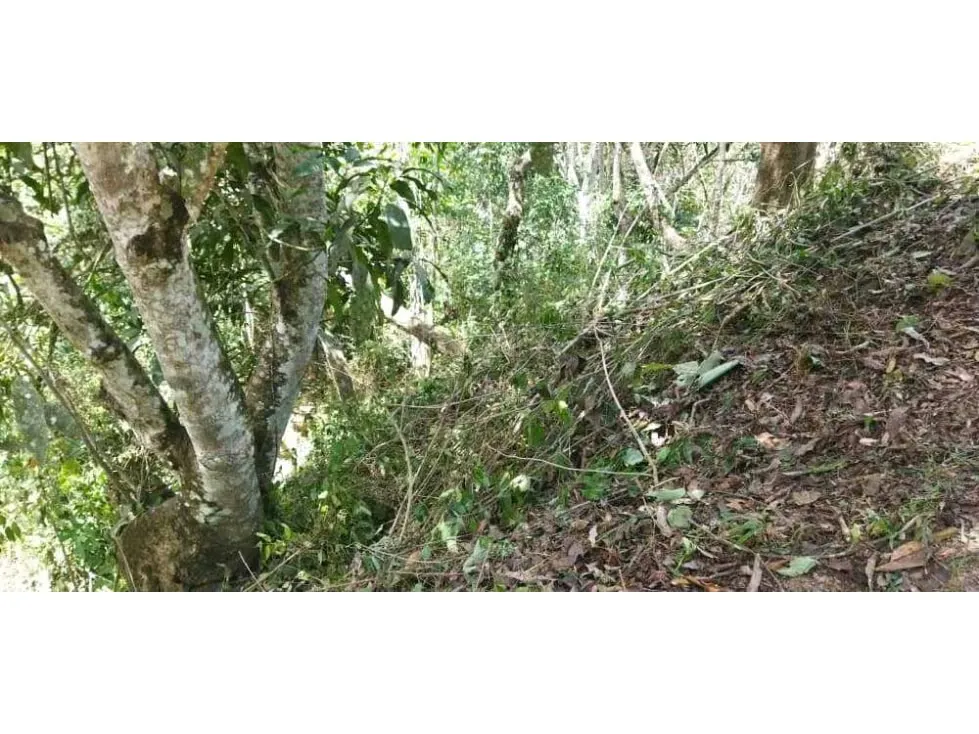 EL HATILLO LOS ROBLES TERRENO EN VENTA 439M2 - 9