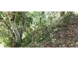 Vista 9
