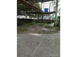 Vista 4