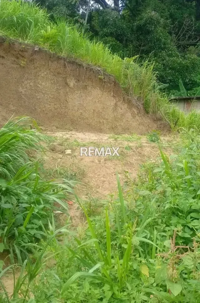 Terreno en las lomas - 2
