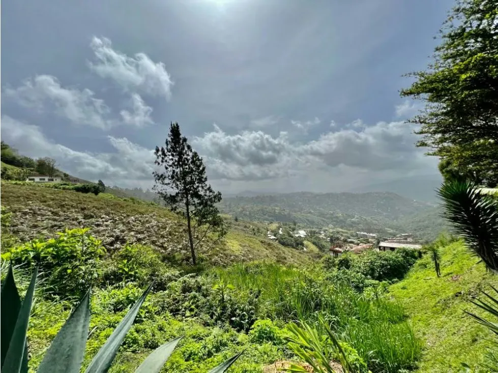 Se vende terreno 2.494m2 Oripoto - 5