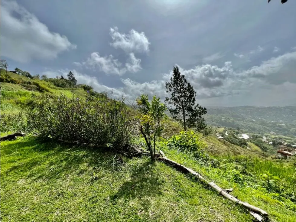 Se vende terreno 2.494m2 Oripoto - 6