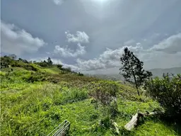 View 7