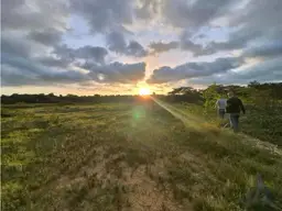 Vista 1