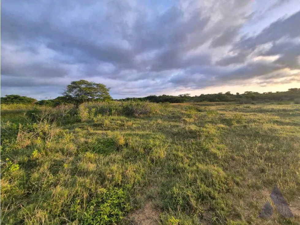Vendo terreno 70000m2 Higuerote 9382 - 3