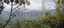 Vista 11