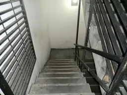Vista 4