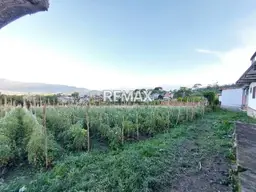 Vista 15