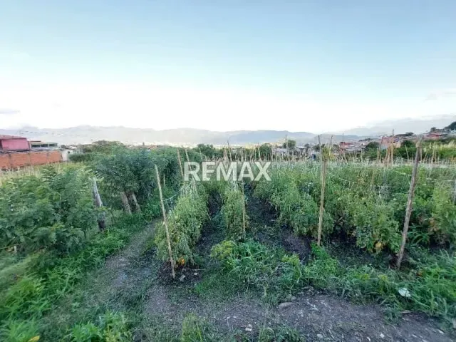 CASA EN VENTA CON TERRENO y AVANCE DE CONSTRUCCIÓN El Valle, Sector el Descanso, Municipio Independencia - 16