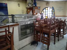 Vista 11