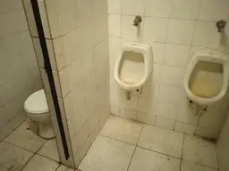 Vista 35