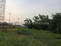 Vista 4