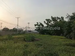 Vista 6