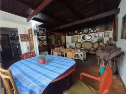 Vista 15