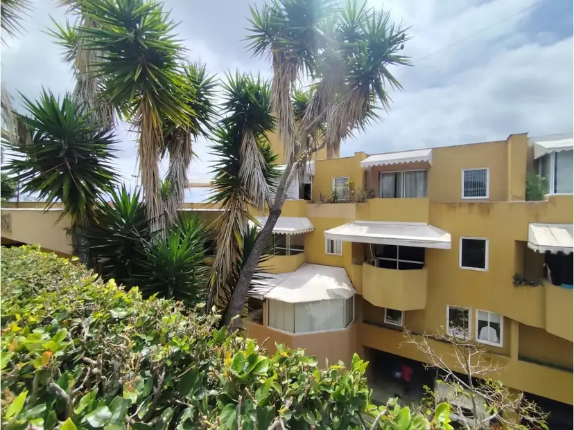 Se alquila apartamento 50m2 Las Marias 8105