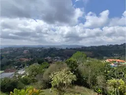 Vista 29