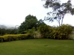 Vista 11