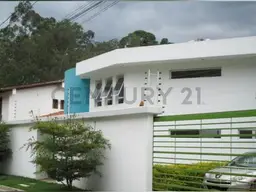 Vista 13