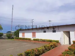 Vista 19