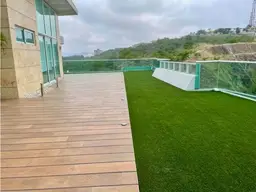 Vista 6