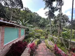 View 39