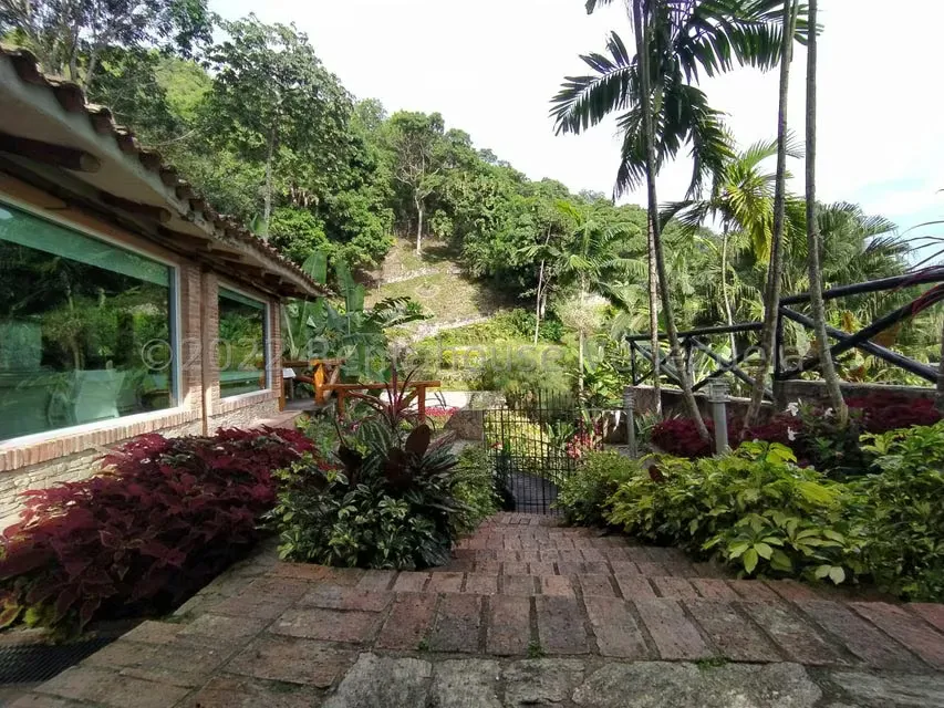 Casa (Duplex) en Venta en Lomas de Palmarito, Aragua - 41