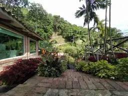 View 41