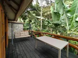 View 43