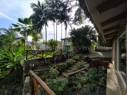 View 44