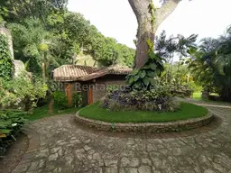 View 45