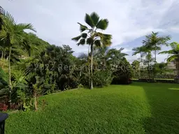 View 46