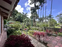 View 52