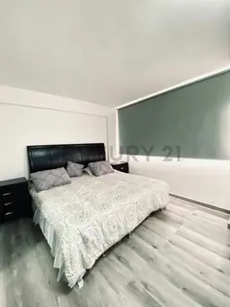 Vista 4