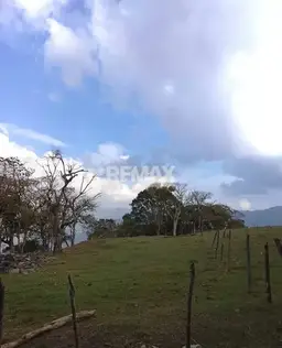 View 1