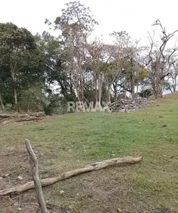 View 3