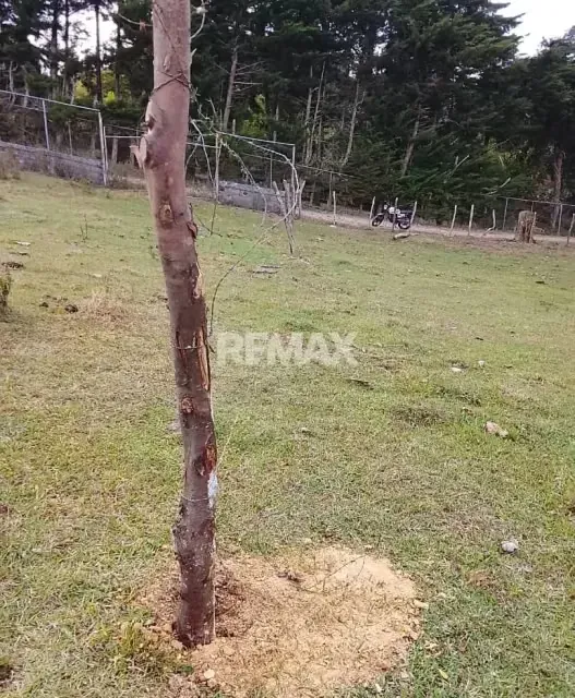 TERRENO EN VENTA EN LOMAS DE CUBIRO - 6