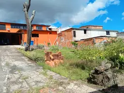 Vista 5