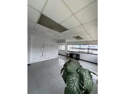 Vista 5
