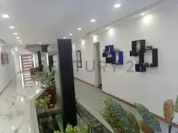 Vista 5