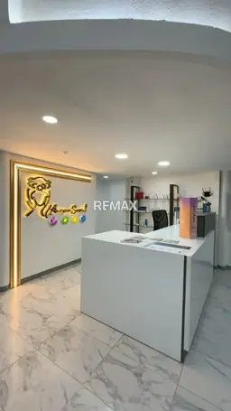 Vista 4