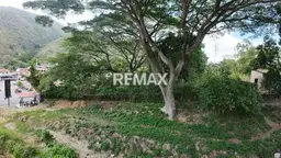 Vista 1