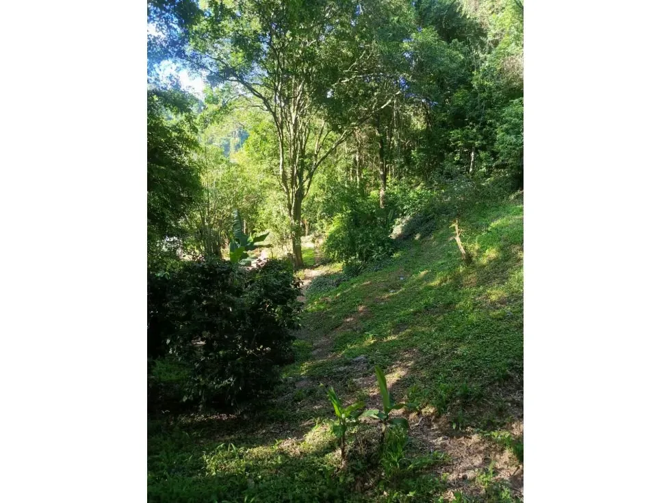 Se vende casa 600m2 Los Campitos 3841 - 5