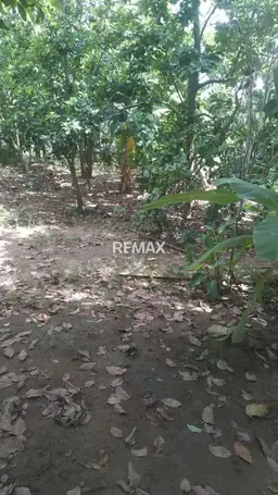 View 1