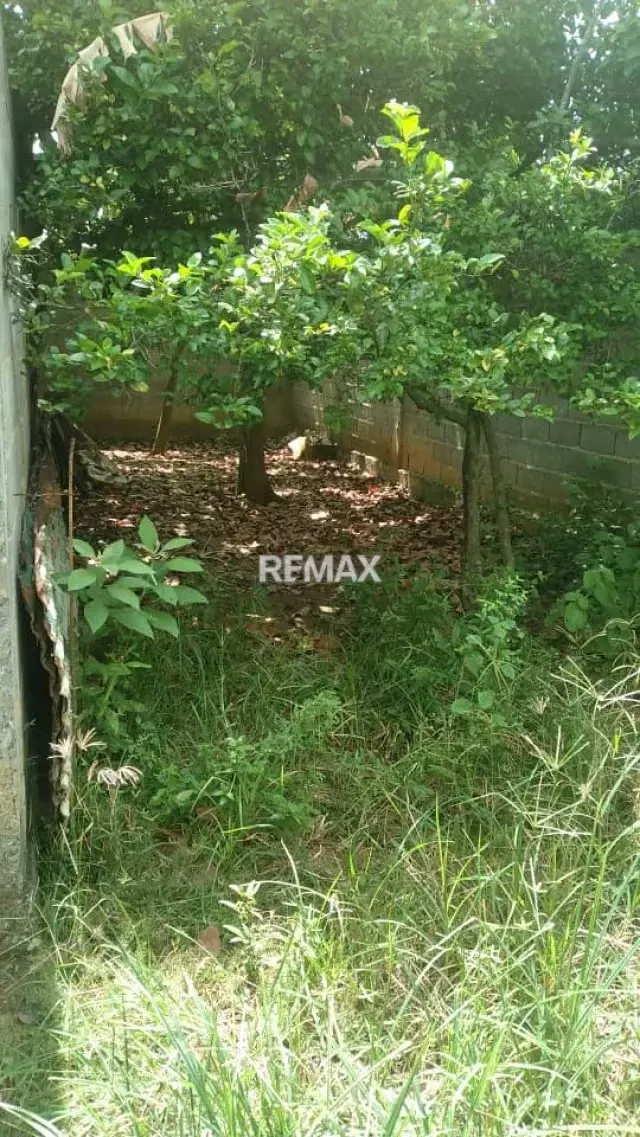 Amplio Terreno, Con Excelente Ubicación en Tamaca, Estado Lara - 2