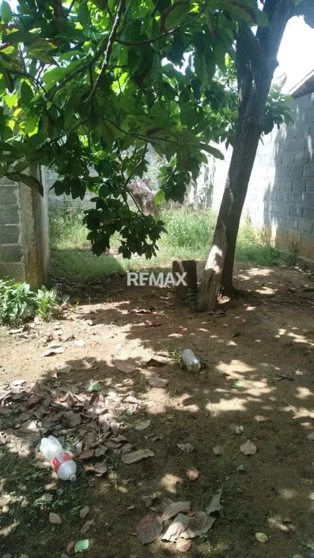 Amplio Terreno, Con Excelente Ubicación en Tamaca, Estado Lara - 3