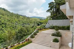 View 44